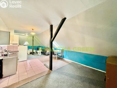 Pronájem bytu 1+KK Hrobice č. 2