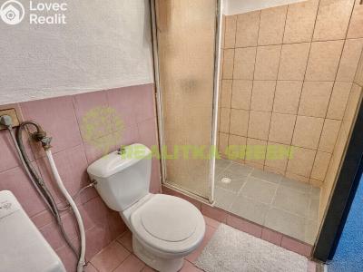 Pronájem bytu 1+KK Hrobice č. 3