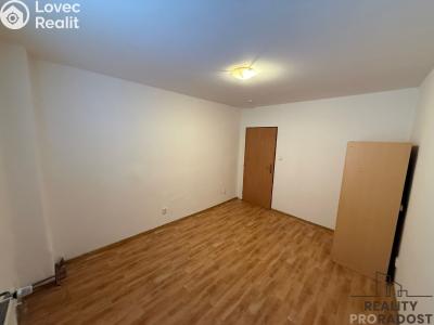 Rent apartment 1+1 Pohořelice, Lidická č. 2