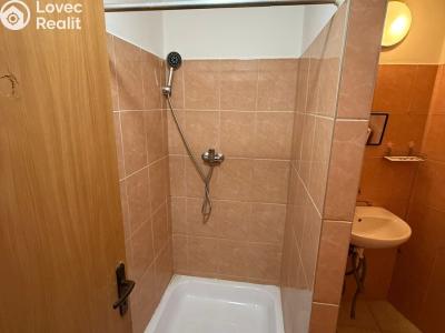 Rent apartment 1+1 Pohořelice, Lidická č. 4