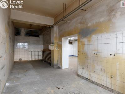 Оренда виробничого цеху Ostrava, Vratimovská č. 10