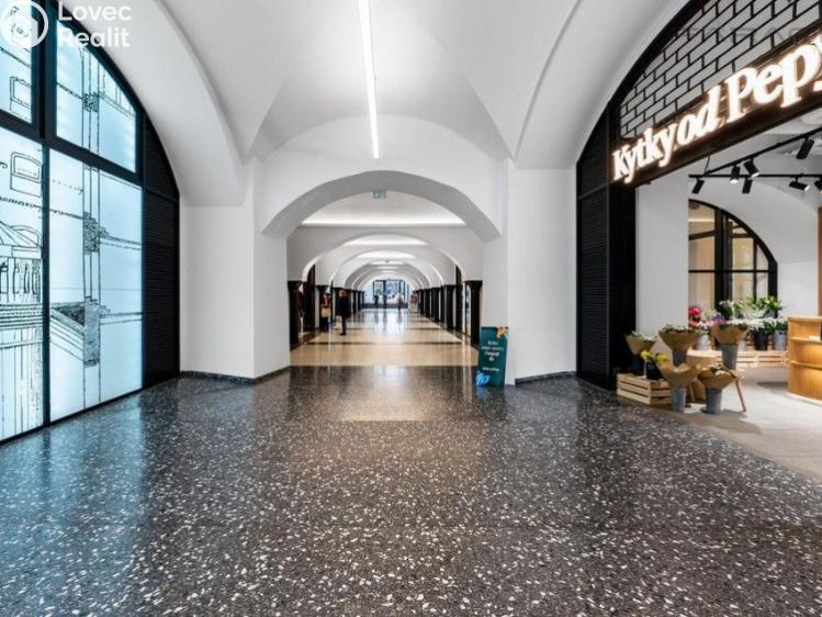 Rent apartment 2+KK Praha 4, Nusle, Vrtbova č. 18