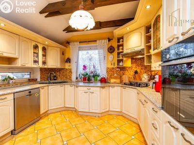 Prodej výrobní haly Litvínov č. 6