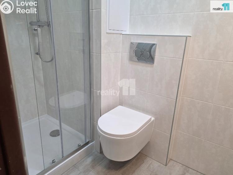 Pronájem bytu 2+1 Praha 4, Antala Staška č. 7