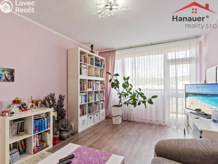 Pronájem bytu 3+1 Ústí nad Labem, U Pivovarské zahrady č. 6