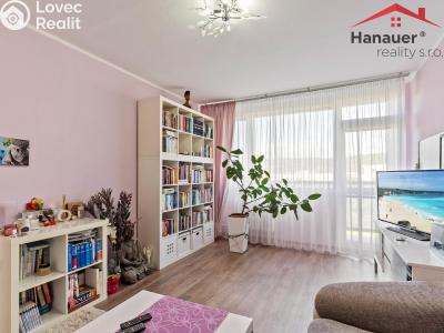 Pronájem bytu 3+1 Ústí nad Labem, U Pivovarské zahrady č. 6