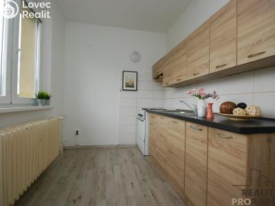 Rent apartment 2+1 Hodonín, Družstevní čtvrť č. 1