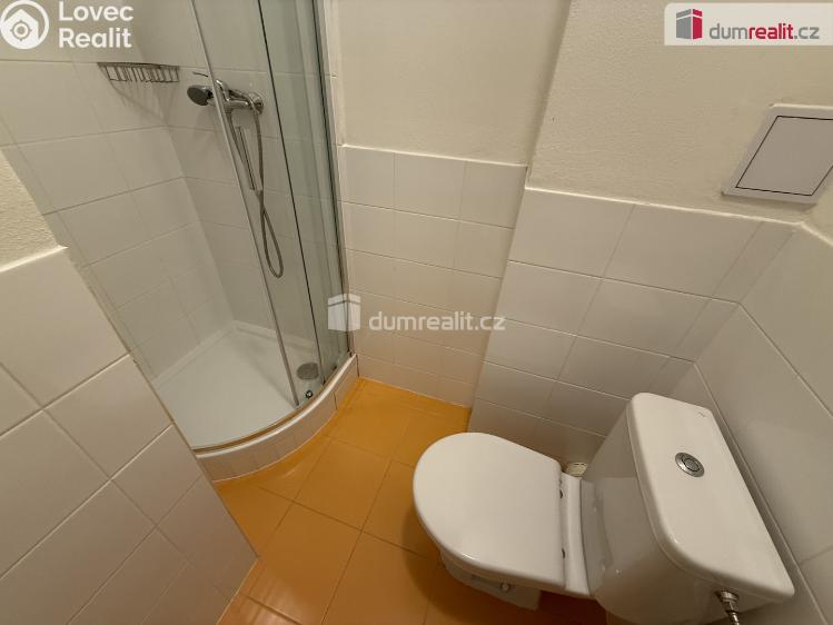 Pronájem bytu 1+KK Praha 5, Moulíkova č. 8