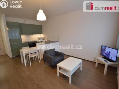 Pronájem bytu 1+KK Praha 13, Na zlatě č. 4