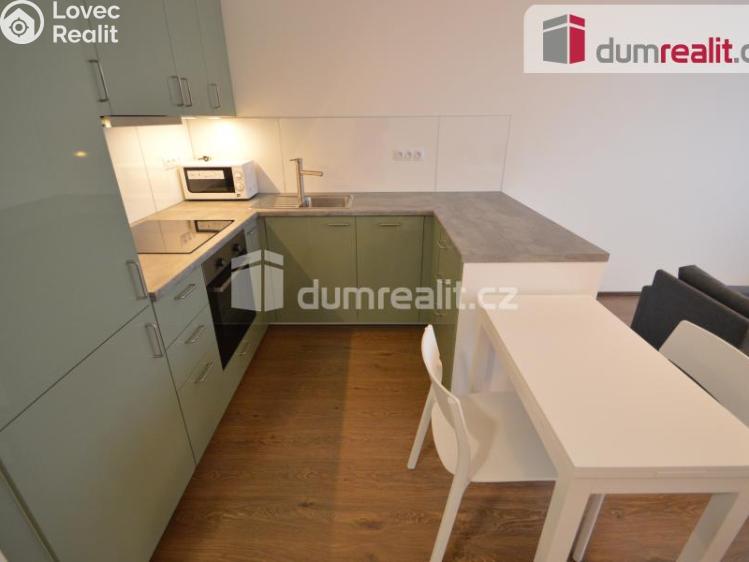 Pronájem bytu 1+KK Praha 13, Na zlatě č. 1