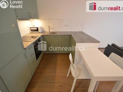 Pronájem bytu 1+KK Praha 13, Na zlatě č. 1