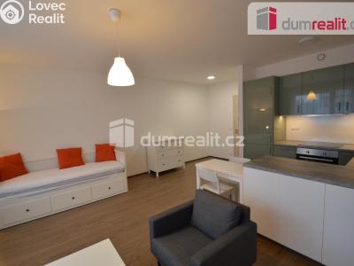 Pronájem bytu 1+KK Praha 13, Na zlatě č. 5