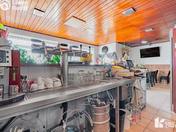 Rent restaurant Břeclav, Bratislavská č. 9