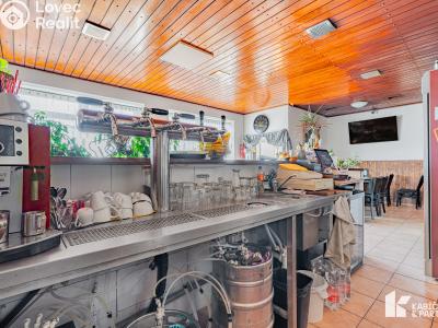 Pronájem restaurace Břeclav, Bratislavská č. 9