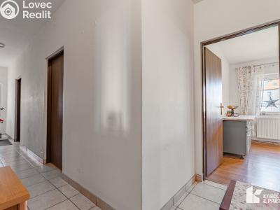 Pronájem restaurace Břeclav, Bratislavská č. 17