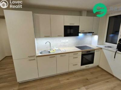 Pronájem bytu 3+KK Olomouc, Erenburgova č. 5