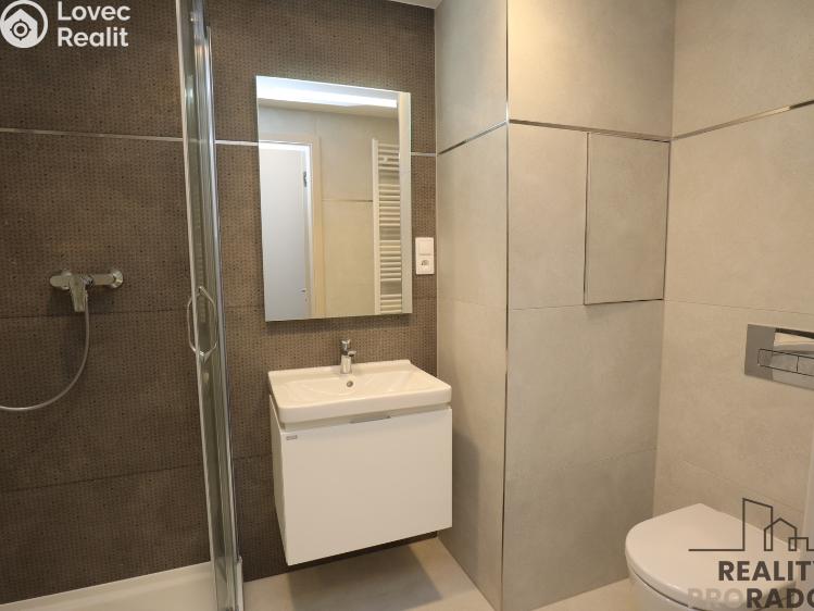 Pronájem bytu 1+KK Praha, Štichova 651/48 č. 5