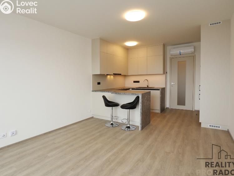 Pronájem bytu 1+KK Praha, Štichova 651/48 č. 7