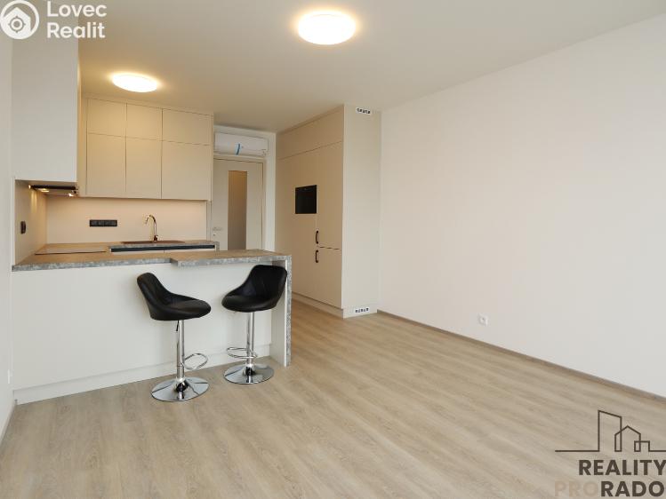 Pronájem bytu 1+KK Praha, Štichova 651/48 č. 2