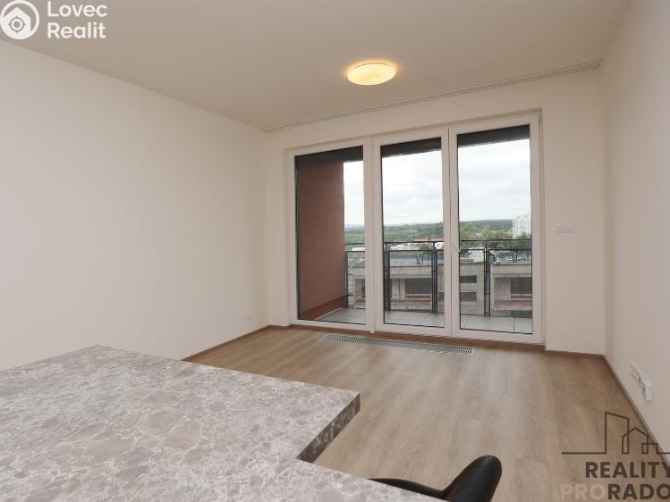 Pronájem bytu 1+KK Praha, Štichova 651/48 č. 3