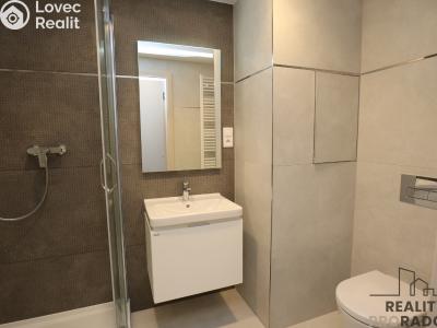 Pronájem bytu 1+KK Praha, Štichova č. 5