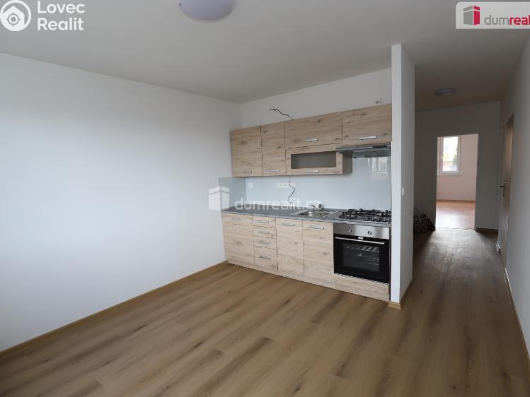 Pronájem bytu 2+1 Dolní Žandov č. 2