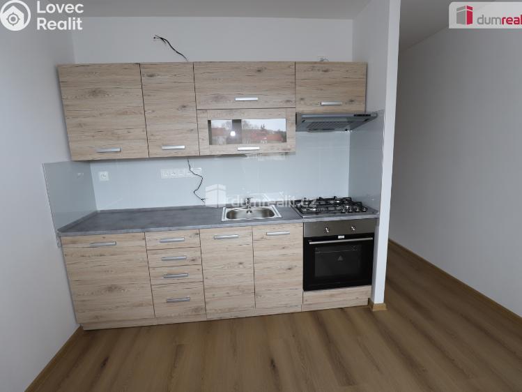 Pronájem bytu 2+1 Dolní Žandov č. 3