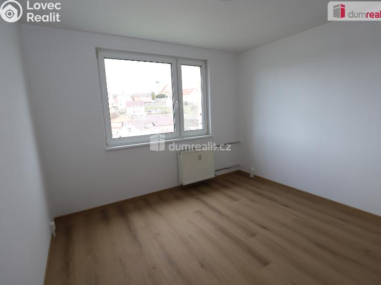 Pronájem bytu 2+1 Dolní Žandov č. 5