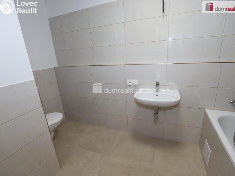 Pronájem bytu 2+1 Dolní Žandov č. 11