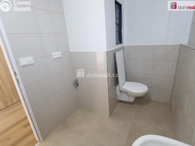 Pronájem bytu 2+1 Dolní Žandov č. 12