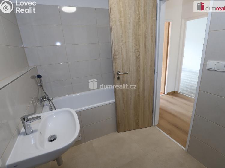 Pronájem bytu 2+1 Dolní Žandov č. 13