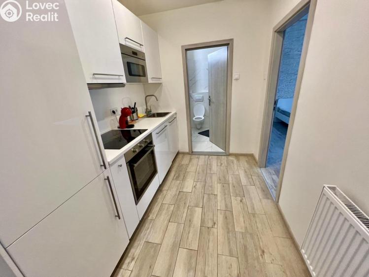 Pronájem bytu 1+KK Praha č. 2
