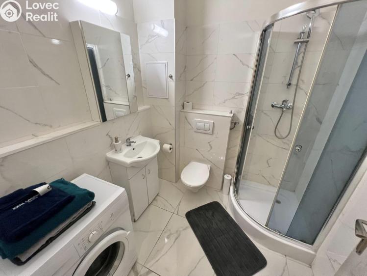 Pronájem bytu 1+KK Praha č. 7