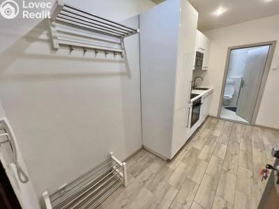 Pronájem bytu 1+KK Praha č. 3