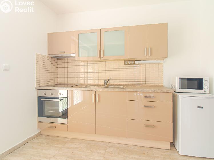 Prodej ubytovacího zařízení Horní Stropnice č. 17