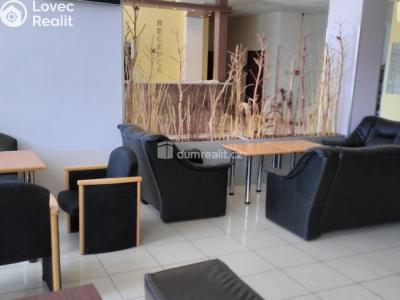 Pronájem bytu 1+KK Praha 20, Mezi úvozy č. 1