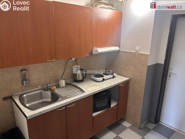 Pronájem bytu 1+KK Praha 20, Mezi úvozy č. 1