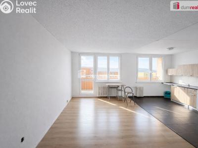 Pronájem bytu 1+KK Bílina, Fügnerova č. 1