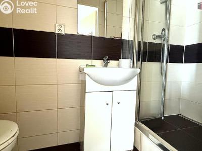 Pronájem bytu 1+KK Bílina, Fügnerova č. 3