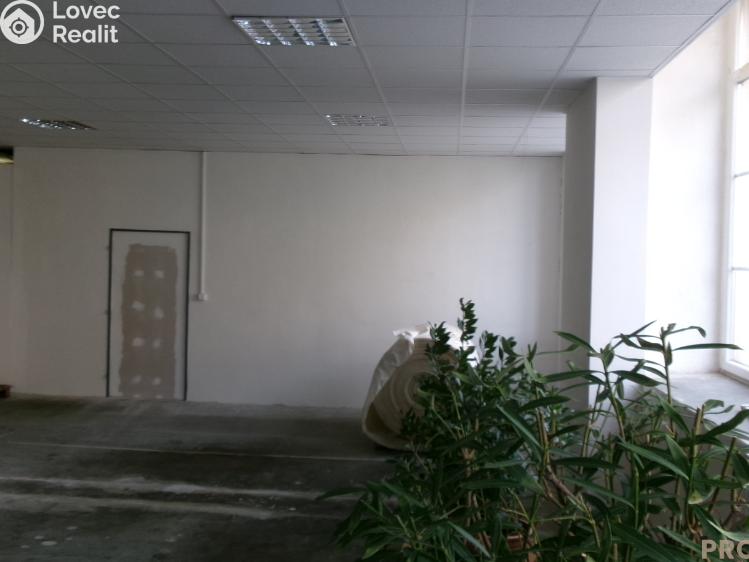 Pronájem skladového prostoru Brno č. 3