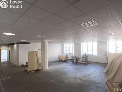 Pronájem skladového prostoru Brno č. 1