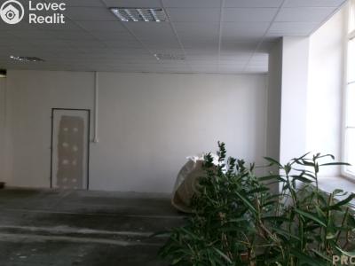 Pronájem skladového prostoru Brno č. 3