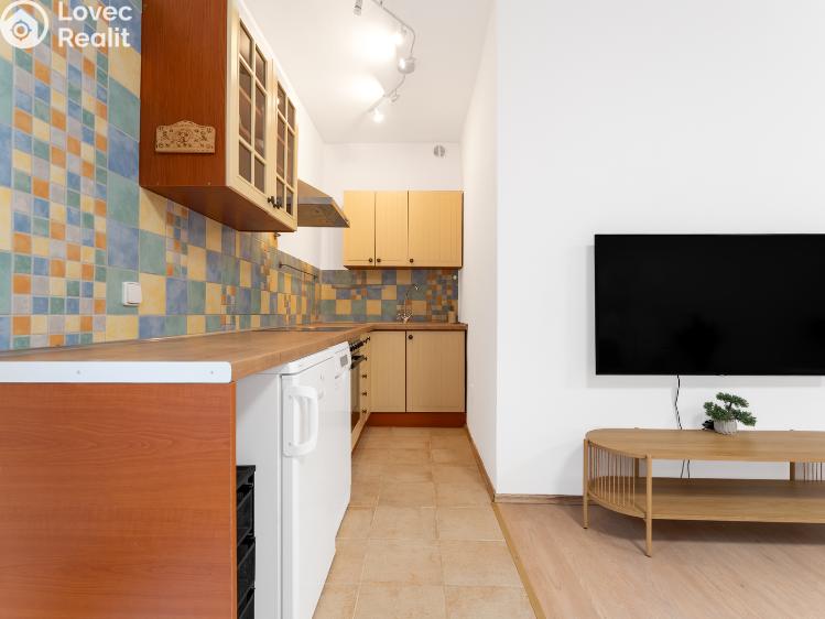 Prodej bytu 1+KK Brno, Červený kopec č. 4