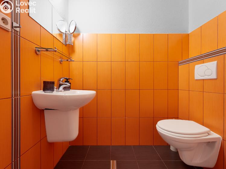 Prodej bytu 1+KK Brno, Červený kopec č. 5