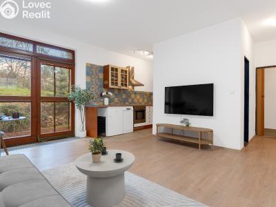 Prodej bytu 1+KK Brno, Červený kopec č. 1