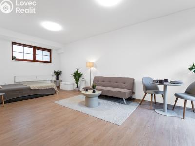 Prodej bytu 1+KK Brno, Červený kopec č. 3