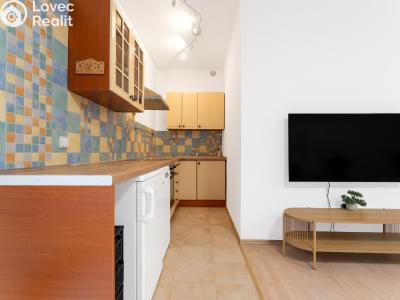 Prodej bytu 1+KK Brno, Červený kopec č. 4