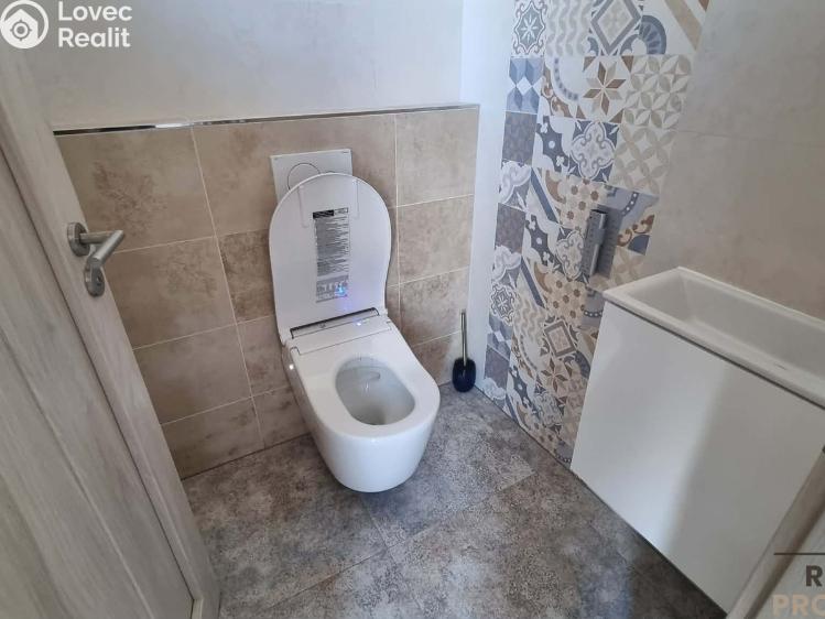 Оренда сімейного будинку Znojmo č. 12