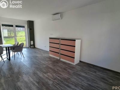 Оренда сімейного будинку Znojmo č. 4