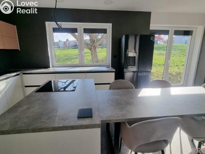 Оренда сімейного будинку Znojmo č. 6